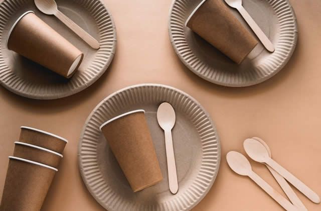 Paper Food Takeaway & Serving